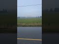 WHAT THE FOG IS THAT