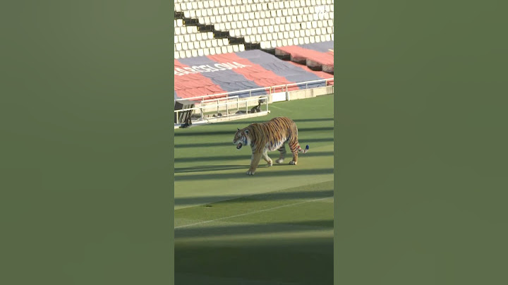 What happens in Barcelona… 👀 #fcbarcelona #shorts