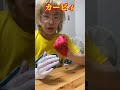 いただきまーすまーすマスターハンドwww Shorts いただきまーすまーすマスターハンドwww Shorts