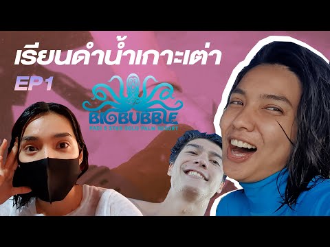 เรียนดำน้ำที่เกาะเต่า I Bigbubble