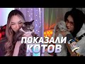 КСЮША КОБА И АЛИНА ВИ ПОКАЗАЛИ КОТОВ