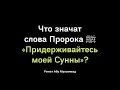 768. «Придерживайтесь моей Сунны» || Ринат Абу Мухаммад