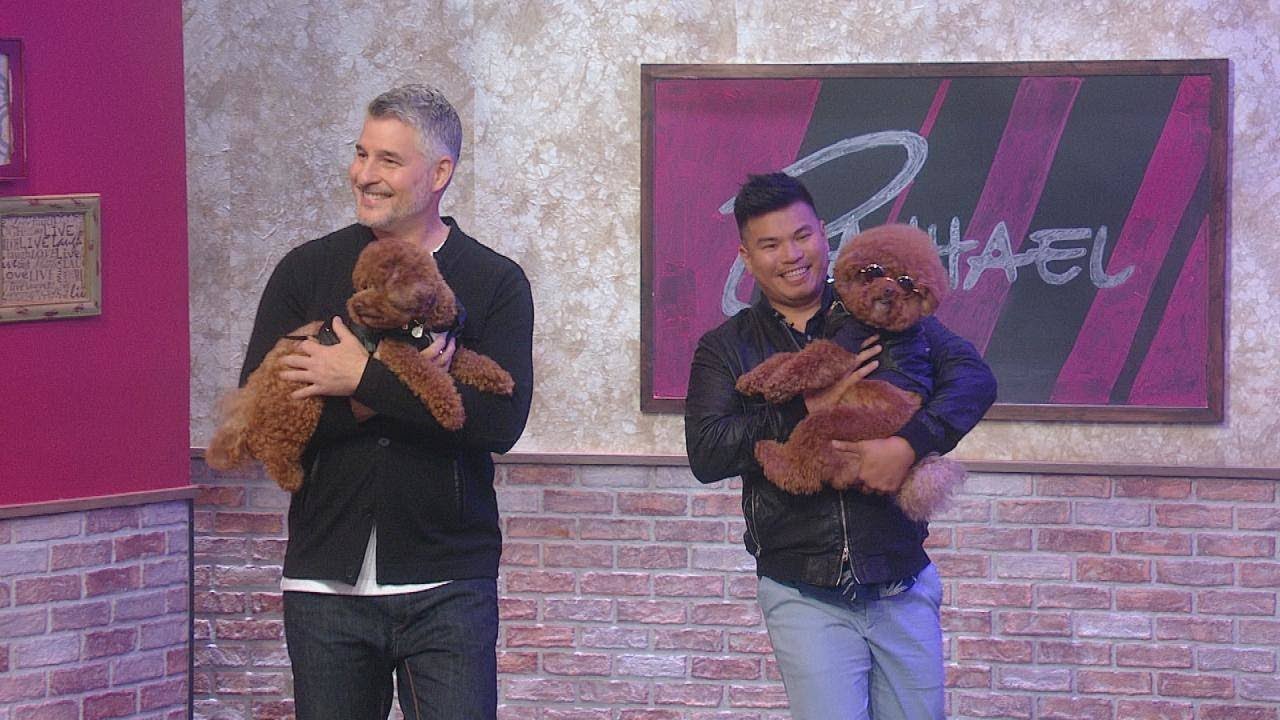 How These Dog Owners Got Their 2 Pups to Actually POSE For Over-the-Top Photos | Rachael Ray Show