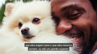 Legendas - Adm Global Trends