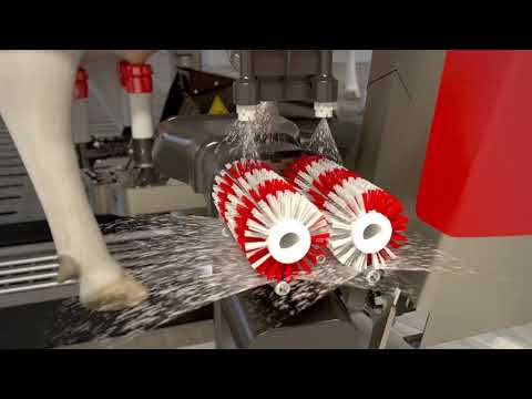 Video: Hvordan fungerer en mælkeudskiller?