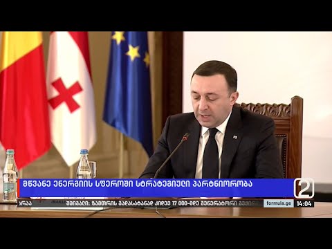 მწვანე ენერგიის სფეროში სტრატეგიული პარტნიორობა