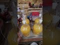 Making Hard Cider Day 5 Cultures