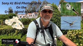 Sony A1 Bird Photography on the Greek Island of Lesvos