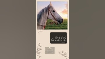 وَيَزِيدُ اللَّهُ الَّذِينَ اهْتَدَوْا هُدًى ۗ  القارئ عبدالرحمن مسعد