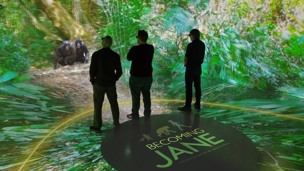 Becoming Jane: The Evolution of Dr. Jane Goodall at National Geographic Museum
