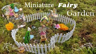 My DIY Miniature Fairy Garden