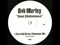 Miniature de la vidéo de la chanson Soul Shakedown (Silk's Downunder Mix)