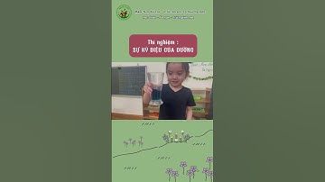 Thí nghiệm : SỰ KỲ DIỆU CỦA ĐƯỜNG vô cùng thích thú đến từ các bé Mn Xứ Trà. #mamnonxutra