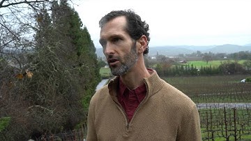 JAMESSUCKLING.COM - Napa Valley: Dana