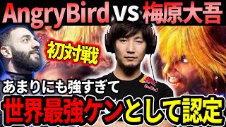 Daigo plays AngryBird for the first time: 'This is the strongest Ken'【Daigo Umehara】【clip】