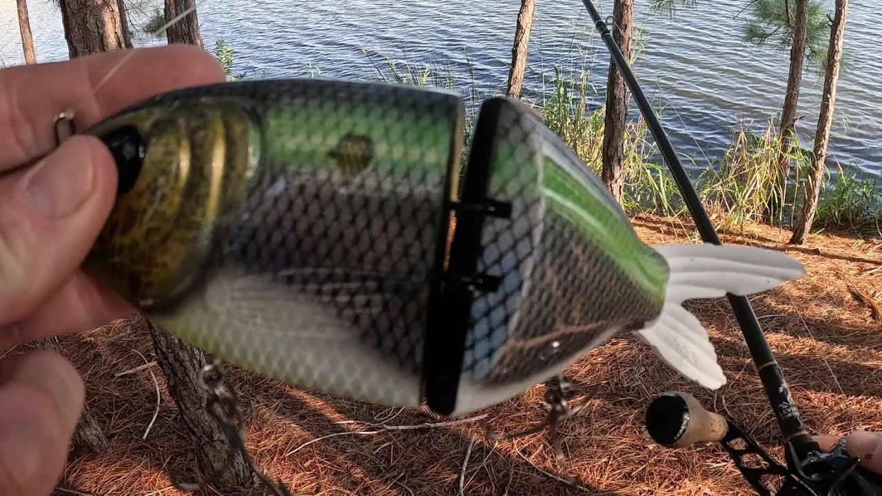 Fishing for BIG bass with BIG glidebaits! #swimbaitjunkies
