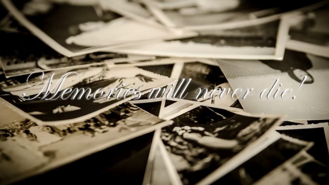 CS50: Final project 2018. BrainBasket Foundation, Ukraine, Zhytomur.