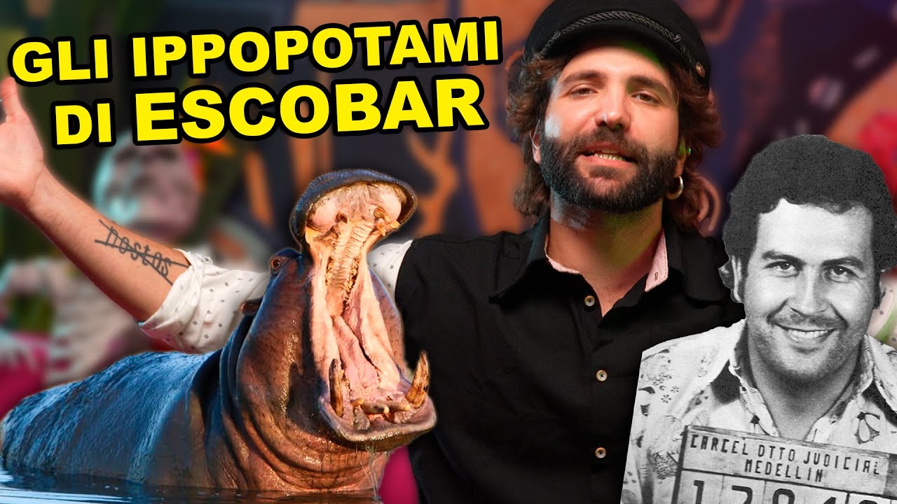Gli ippopotami di Pablo Escobar