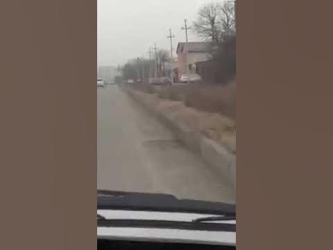 Родар - YouTube