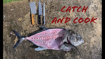 Does Ulua have ciguatera?