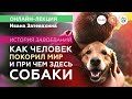 Как человек покорил мир и причём здесь собаки? Иван Затевахин. #Научная_Станция_ Онлайн