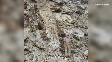 $1.5 billion lithium deposit discovered in western Maine is getting attention