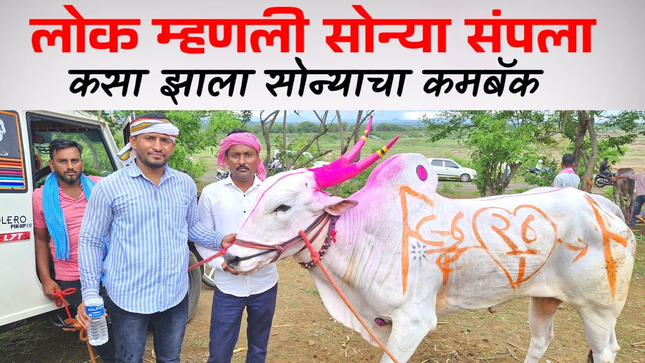 दैवत गोवेकर रोखठोक मुलाखत