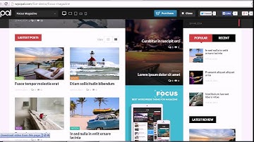 Focus News & Magazine Wordpress Theme Download Free
