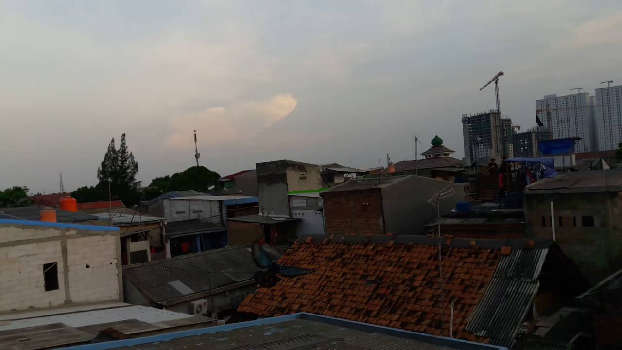 Lapak Burung Dara Cipinang Pulo Maja Jatinegara Jakarta Timur