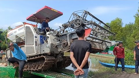 máy cắt 105 độ bánh 9 của đổ hòa cặp bến lên phà cắt lúa rất nhanh tập98 #maibangtv