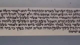 הטיפ היומי לסופר סת"ם - 21