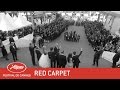 THE KILLING OF A SACRED DEER - Red Carpet - EV - Cannes 2017