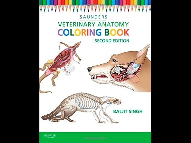 Download Veterinary Anatomy Coloring Book 2e PDF - YouTube Download Veterinary Anatomy Coloring Book 2e PDF - YouTube