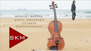 Hidayet Sevinç - Çakal Çökerten Zeybeği (Enstrümantal)