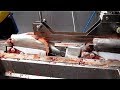 Amazing automatic fish processing line machines modern technology  big catch in the sea