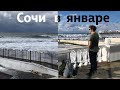 Сочи в январе #туризмвроссии