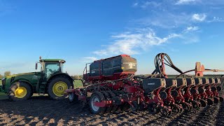 Посев Подсолнуха 🌻сеялкой хорш фокус по технологии Strip-till