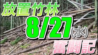 老者竹林 竹林住職 - YouTube
