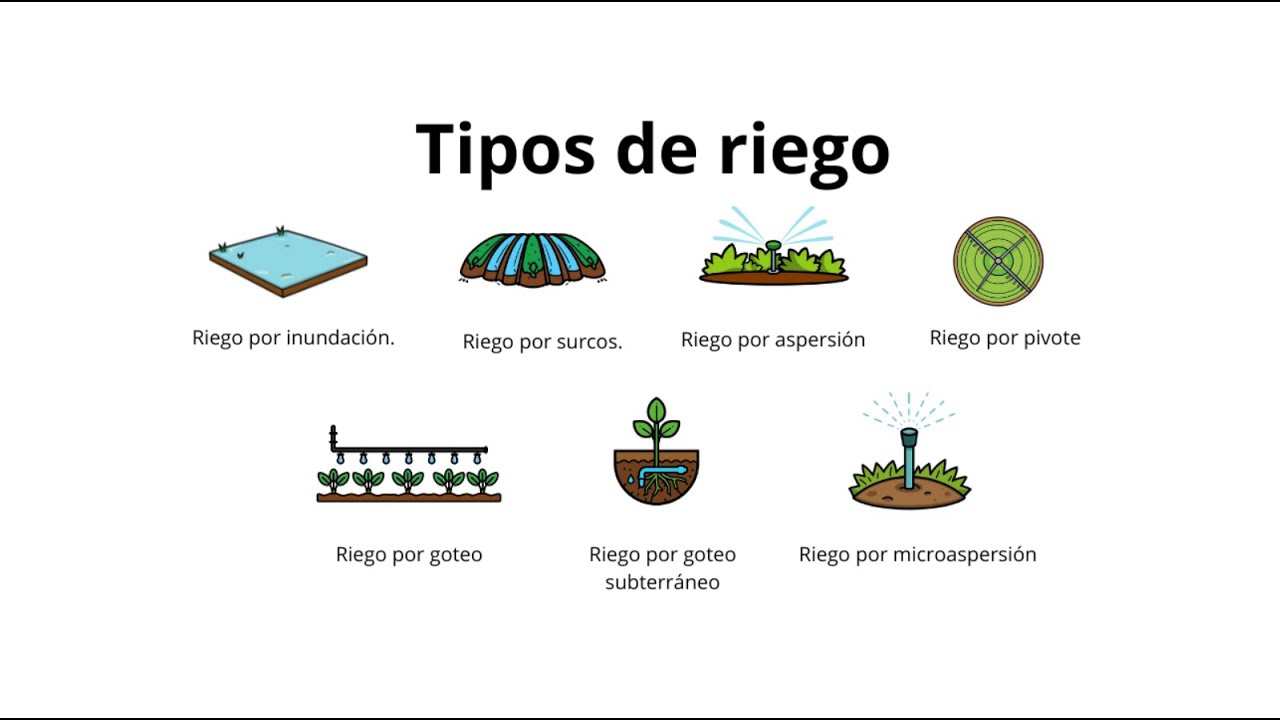 Los 7 TIPOS DE RIEGO más usados explicado en 4 MINUTOS