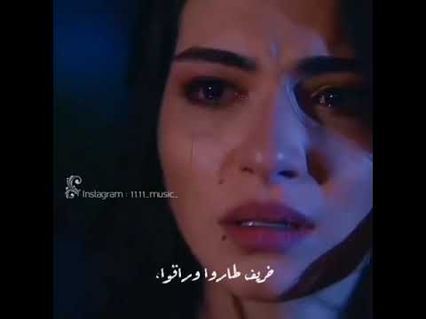 قلبي و قلبك صارو جبال ما بيتلاقوا خريف و ضاعو وراقوا حالات واتسأب و انستغرام