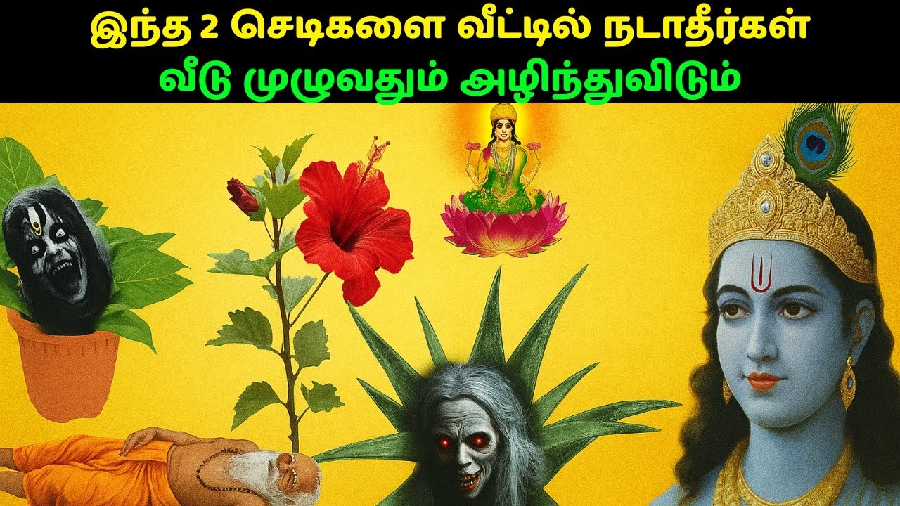 இரண்டு மரங்கள் உங்கள் வம்சத்தையே அழிக்கும்! வீட்டில் வைக்கக் கூடாத மரங்கள்