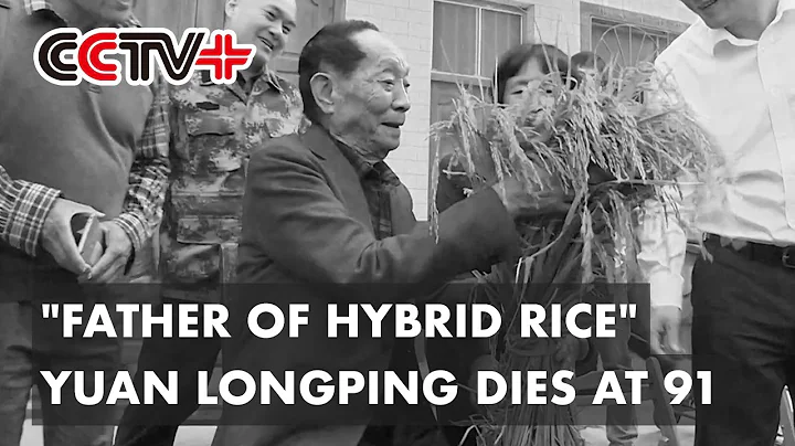 "Father of Hybrid Rice" Yuan Longping Dies at 91 - DayDayNews