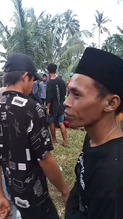 Bedengan licin jaranan pecari kuning