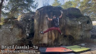 Brazil (assis) - 7a - Roche aux Oiseaux