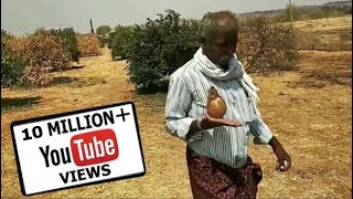 Finding Ground Water  Using Coconut || Borewell Drilling