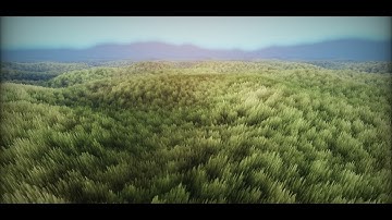 grasstest - shader developed by EvilRyu