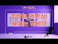 주방템 언박싱! 채반/과일 접시/보틀/젖병소독기/유아 식기까지!