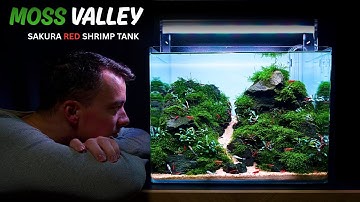 The MOSS Valley: SUPER RED Neocaridina Shrimp Tank - Full Aquarium Build