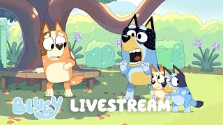 🔴LIVE: Family Bonus Bits! | Bluey screenshot 4