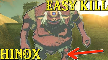 Zelda Breath of the Wild Hinox Easy Way to Kill
